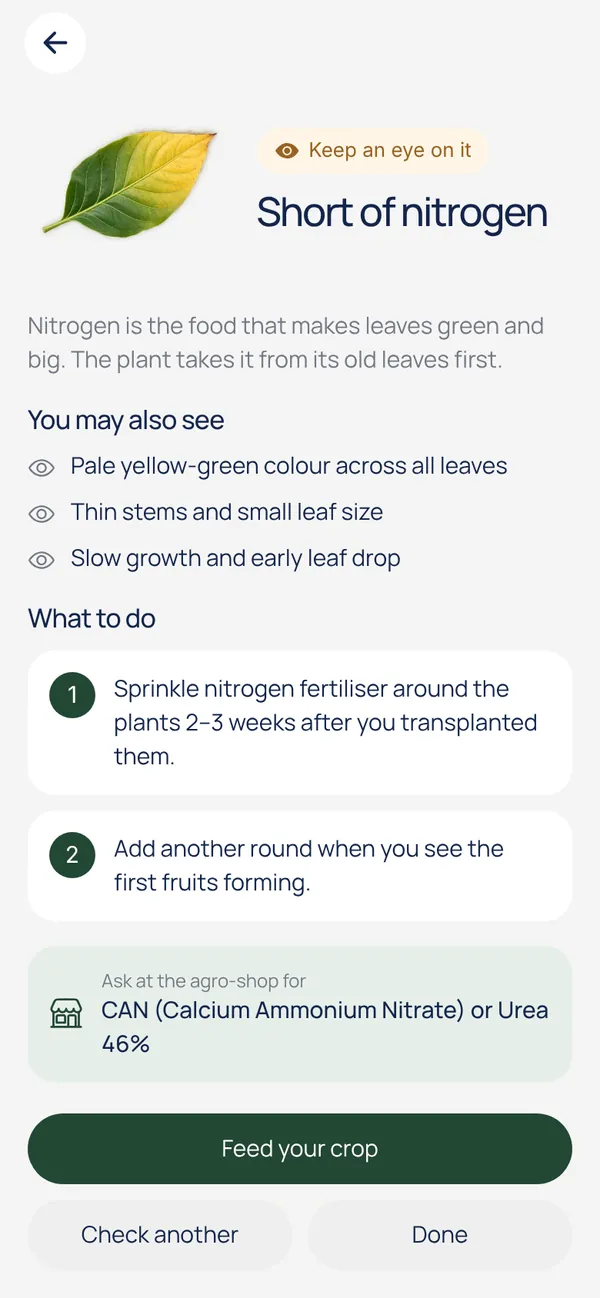 Leaf check answer