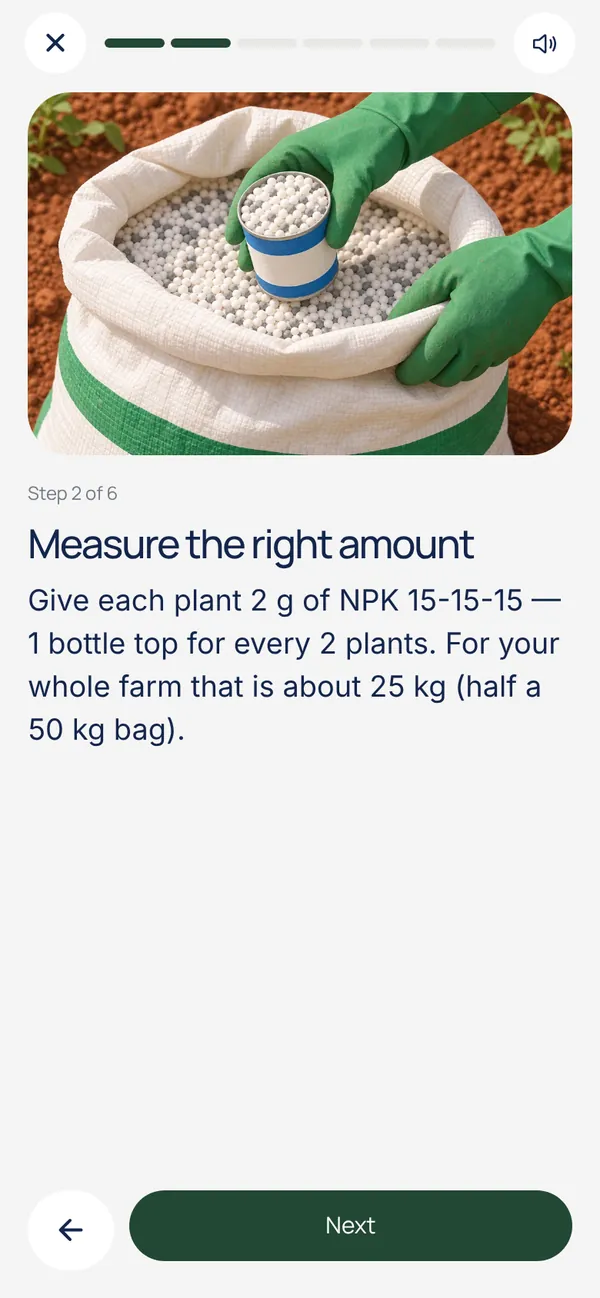 A picture step: measure the right amount. 2 g of NPK 15-15-15 for each plant, one bottle top for every 2 plants